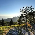 Iii Stanici
